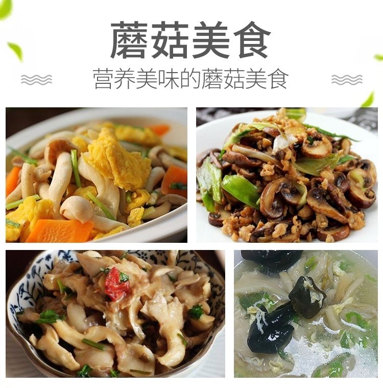 【四季种植】家庭蘑菇菌包食用菌室内蘑菇种植菌棒姬菇菌种菌菇包