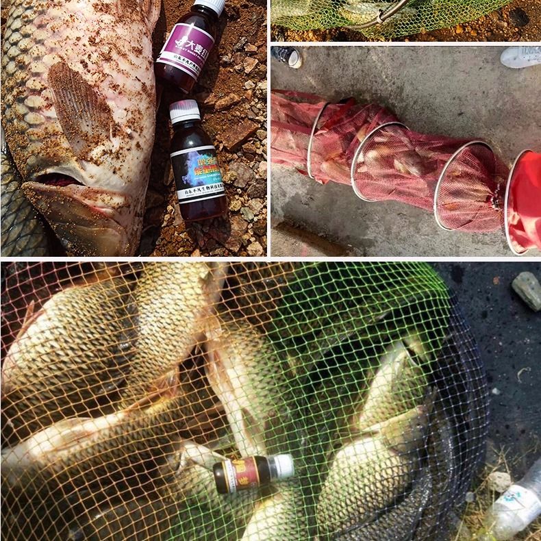 釣魚小藥黑坑鯉魚草魚野釣鯽魚餌料通殺大麥紅薯膏果酸誘駭客啟航