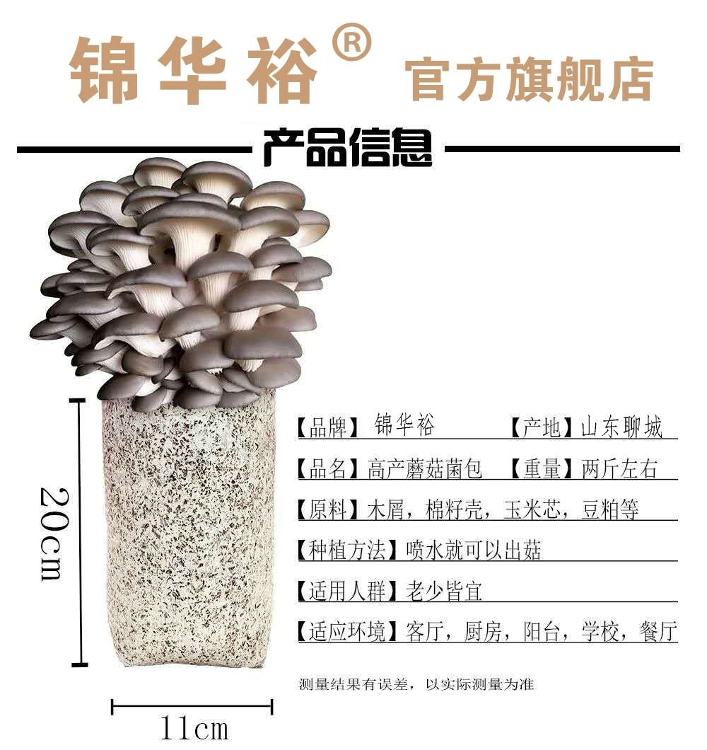 【四季种植】家庭蘑菇菌包食用菌室内蘑菇种植菌棒姬菇菌种菌菇包