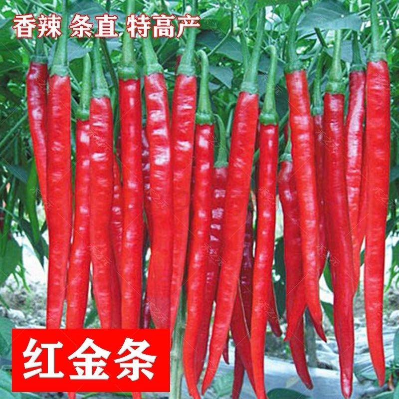 da919d69-c776-4c19-8674-135ce9b1bf05.jpg
