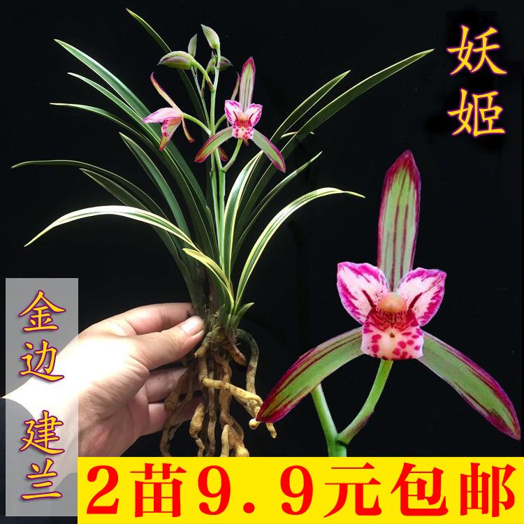 c31cf761-6e82-462d-a3b6-5313a57e1788.jpg