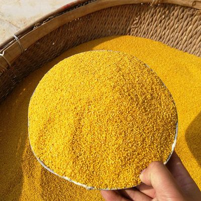 19年新米2斤东北黄小米农家小黄米吃的五谷粗粮小米粥孕妇月子米