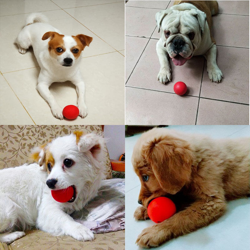 Dog toy ball dog toy ball solid elastic ball molestation Training Golden Teddy dog pet products