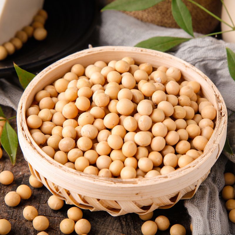 吉得利黄豆500g阳光豆坊商用批发五谷杂粮新豆浆伴侣