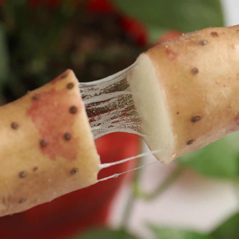 河北特产新鲜山药麻山药垆土小白嘴山药铁棍山药二斤五斤装粘糯粉