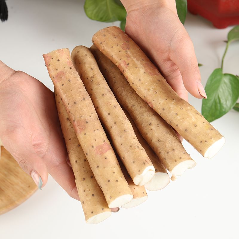 河北特产新鲜山药麻山药垆土小白嘴山药铁棍山药二斤五斤装粘糯粉