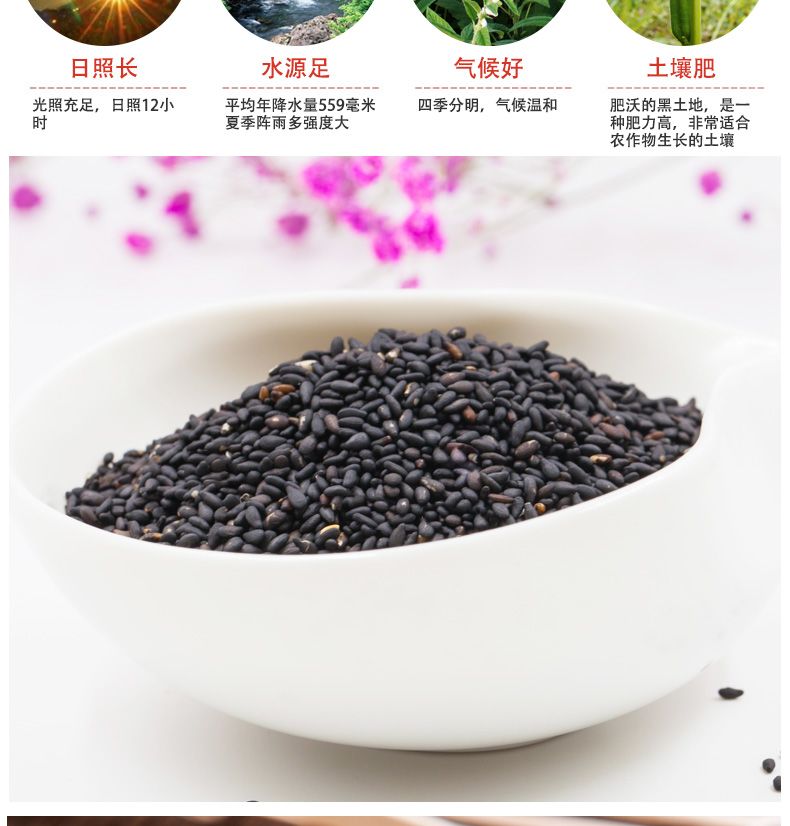 多少斤芝麻榨1斤油 277b22bc-b29c-4c5b-b6e3-0f492016ea67.jpg