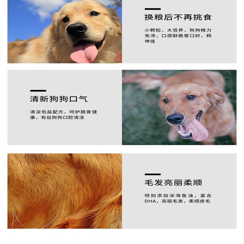 多少斤才算小型犬 e50e8dd9-1a9c-4558-a816-4c7af7f46b85.jpg