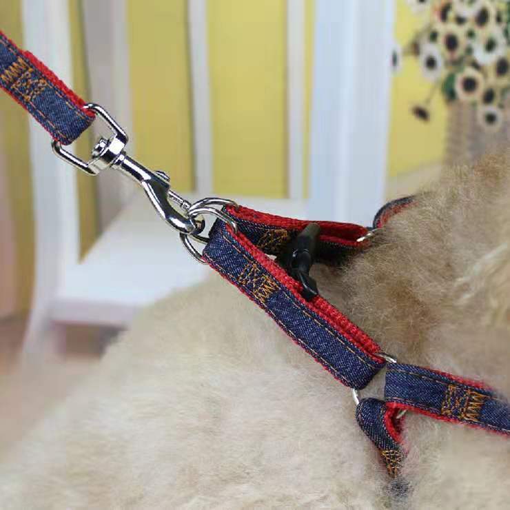 怎么样自制狗链子 b04779ba-1171-4f40-bf4f-df8267a7868c.jpg