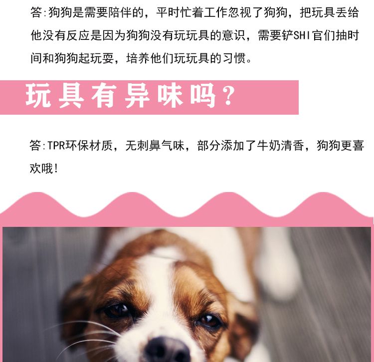 便宜小型犬耐咬玩具 4343f105-72c3-48b7-b6c7-2971d71a63dc.jpg