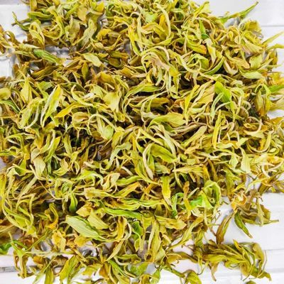 黄金芽