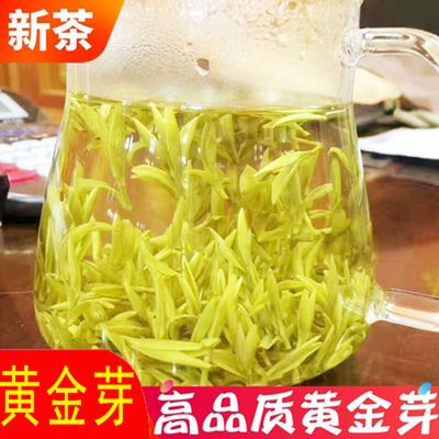 黄金芽