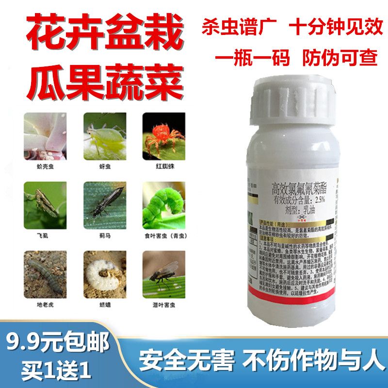 551f1460-fda0-4276-9eb1-bc1930bb0dfa.jpg