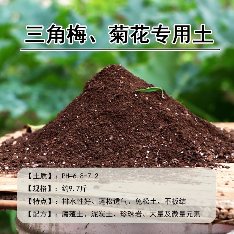5b54793f-379a-451d-9347-e3a80fa96e32.jpg