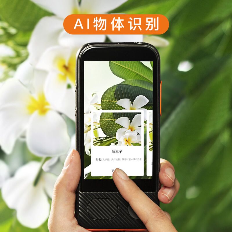 d660b681-2303-4313-8f73-5251a43faef7.jpg