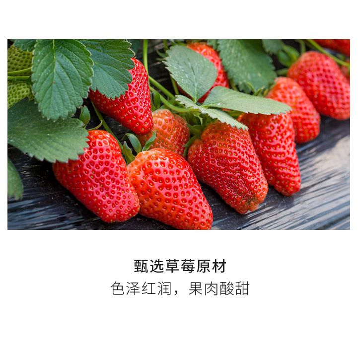 草莓干混合水果干果脯类好吃的100g休闲零食网红小吃蜜饯组合批发