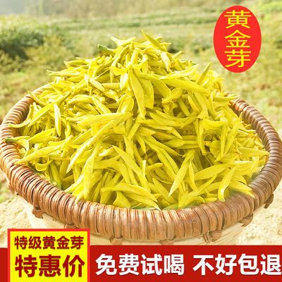 黄金芽