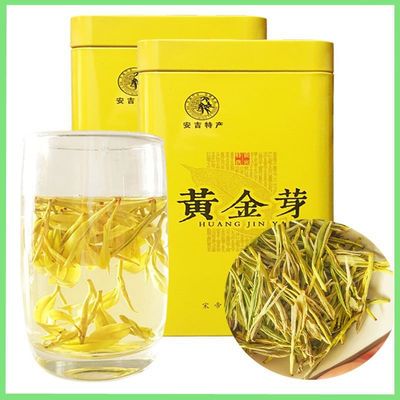 黄金芽