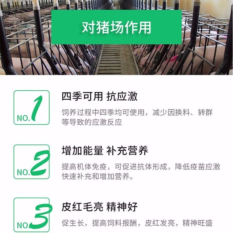4b68d6b0-a04a-470f-92af-ebc1f9b4e17a.jpg