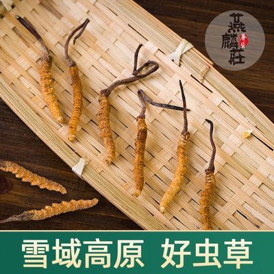 g配礼盒非那曲虫草