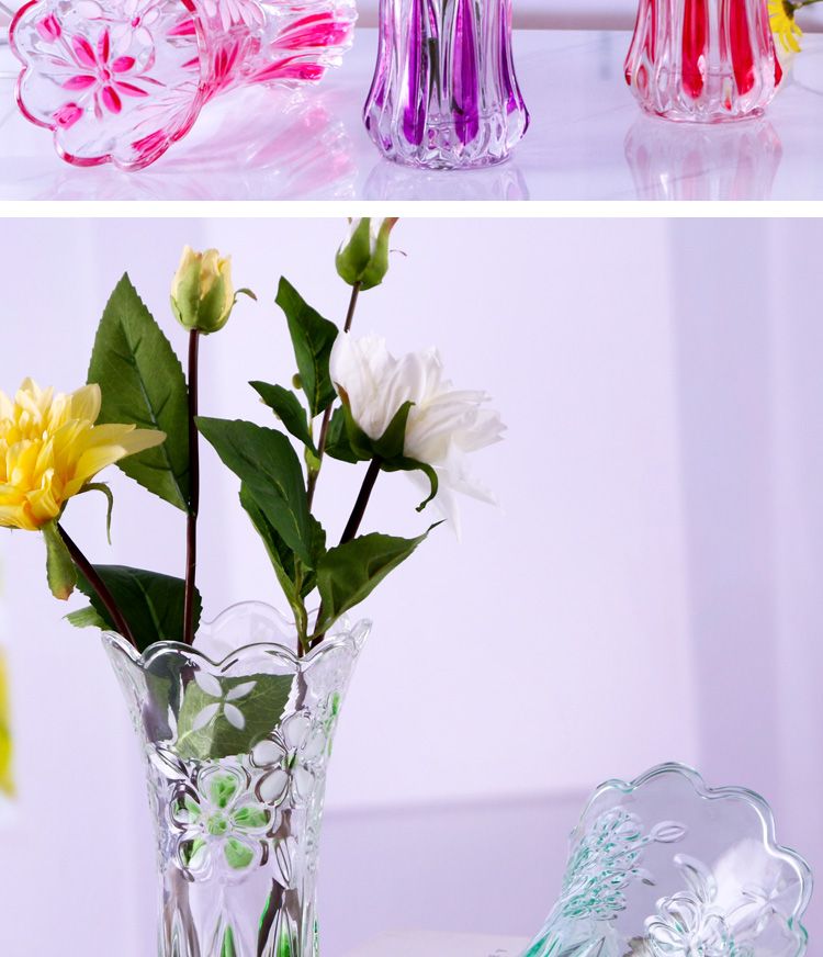 彩色加厚玻璃花瓶摆设客厅透明水晶瓶水养富贵竹鲜花干花现代简约