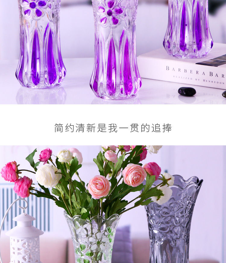 彩色加厚玻璃花瓶摆设客厅透明水晶瓶水养富贵竹鲜花干花现代简约