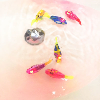 PL可愛小丑魚