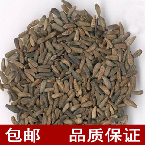 中药材牛蒡子 大力子 牛蒡籽 大力籽 牛蒡子50-1000g