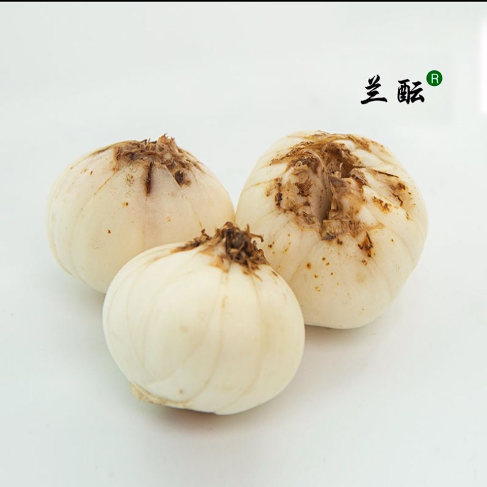 新鲜百合真空空运盒装兰州顺丰四头