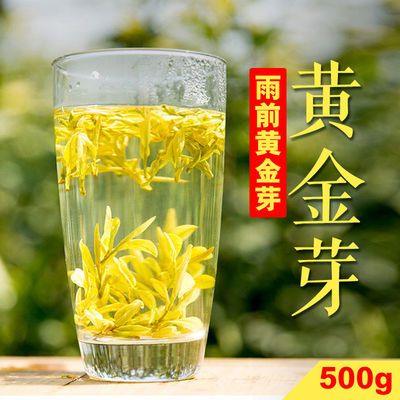黄金芽