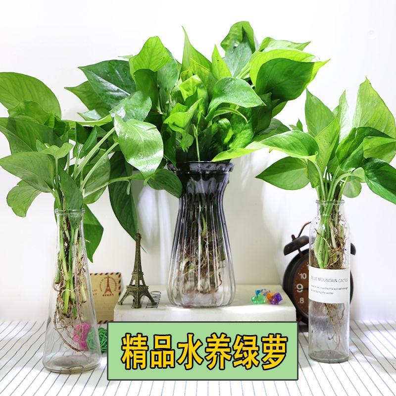 1edbbe2d-e08a-497c-9b6b-c9ef90b66edc.jpg