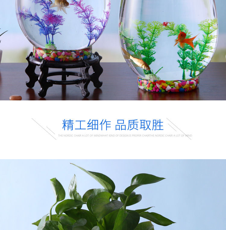 创意水族箱生态圆形玻璃金鱼缸大号乌龟缸迷你小型造景水培花瓶