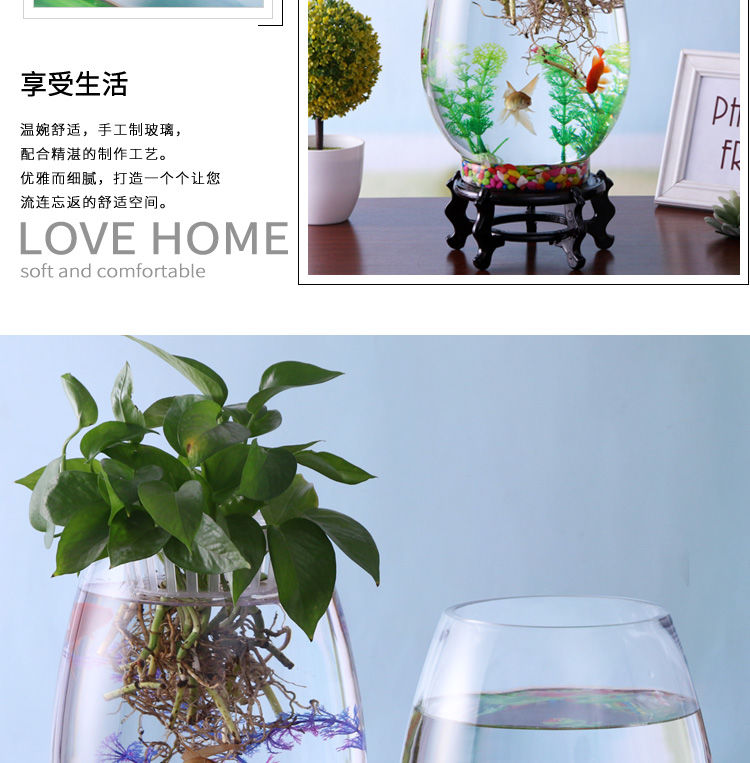 创意水族箱生态圆形玻璃金鱼缸大号乌龟缸迷你小型造景水培花瓶