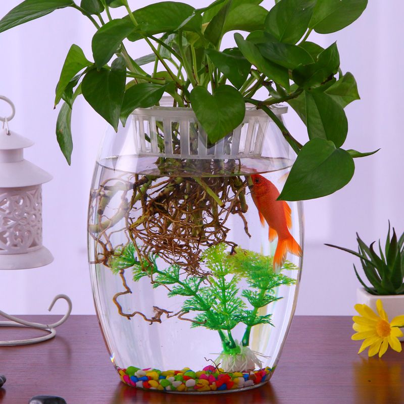 桌面小鱼缸玻璃 迷你型生态鱼缸造景 养金鱼小型热带鱼 圆形鱼缸