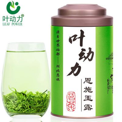 茶叶【恩施玉露】2023年新茶高山绿茶浓香绿茶特价促销富硒罐装