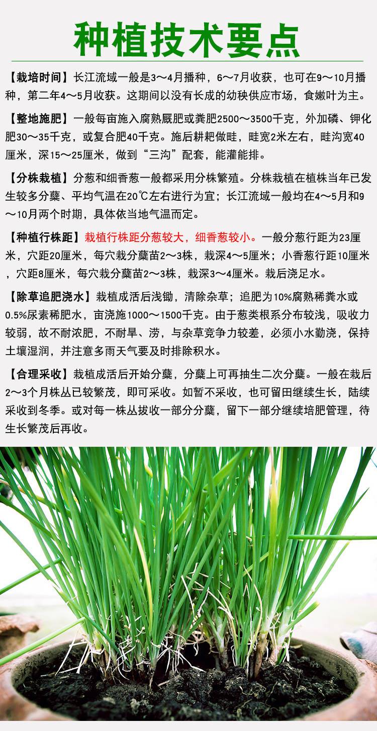 9499www威尼斯重点新闻-重点新闻新闻-有色金属新闻-中国有色网-中国有色金属报主办