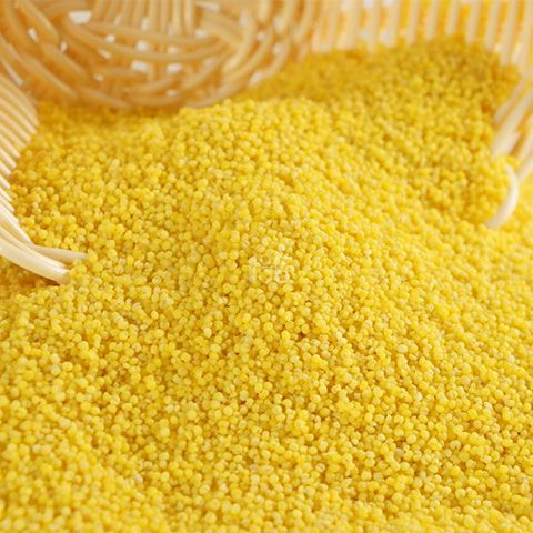 陕哥哥小米2018年新黄小米陕北小米农家香谷小米粥杂粮2斤5斤7斤_拼多