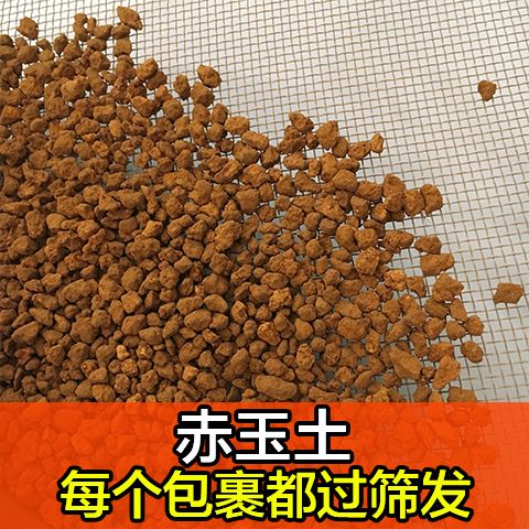 267da235-b548-4e9e-adbe-c5ea8231f40e.jpg