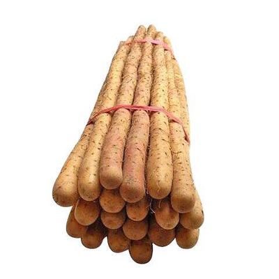 粉糯正宗铁棍山药新鲜蔬菜淮山药铁杆山药河北特产蔬菜多规格可选