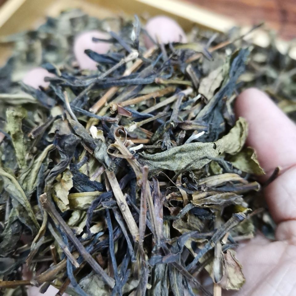凤凰茶单丛茶鸭屎香茶头春季高山茶凤凰单枞茶单从茶乌龙茶中浓