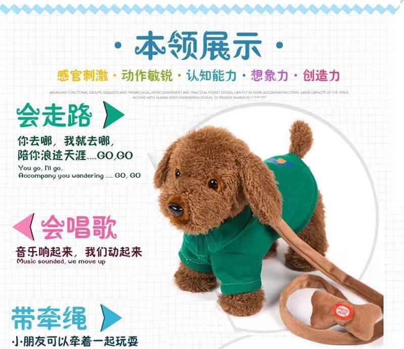 怎么看小狗是男孩还是女孩 70bae6ba-1c53-4d42-8084-54c63e392d40.jpg