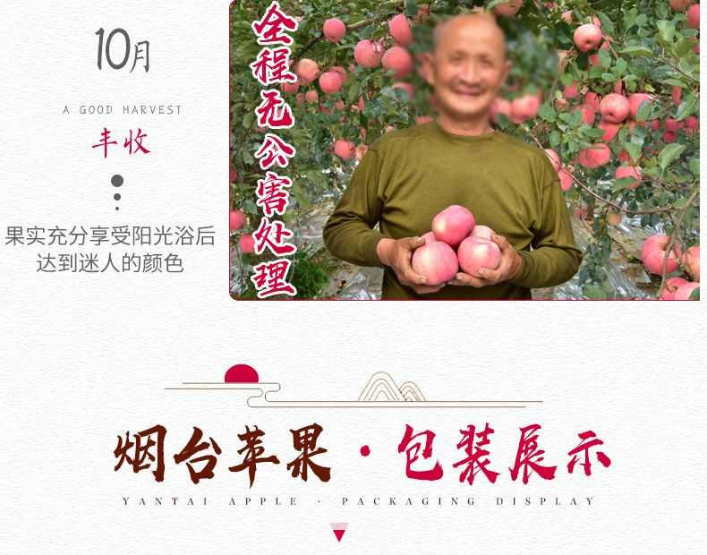 山东烟台栖霞红富士苹果3/5斤新鲜水果不打蜡非阿克苏冰糖心脆甜