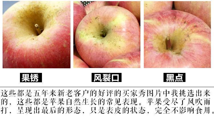 山东烟台栖霞红富士苹果3/5斤新鲜水果不打蜡非阿克苏冰糖心脆甜