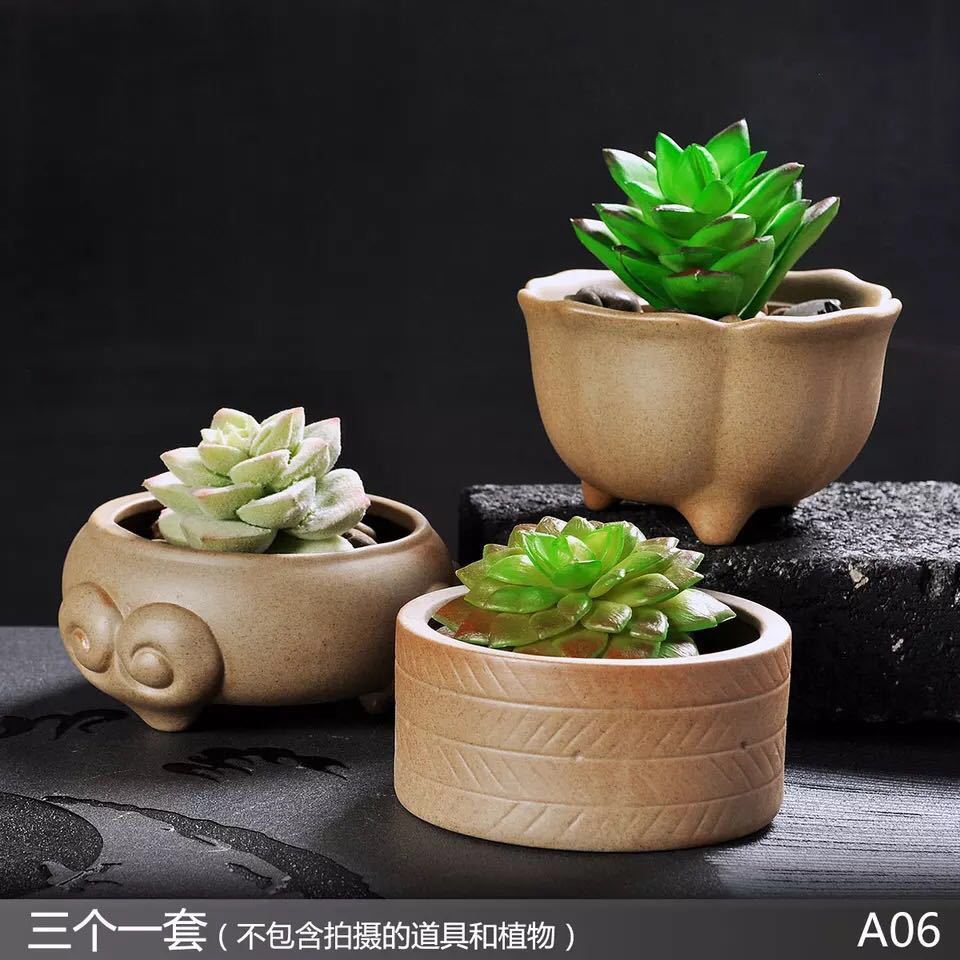 多肉小花盆便宜的 3c029322-9008-4a53-a3d8-2c15078ab4b1.jpg