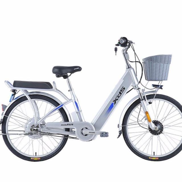 喜德盛电动自行车锂电池48v电动车新国标助力电瓶车24寸传说7/9号