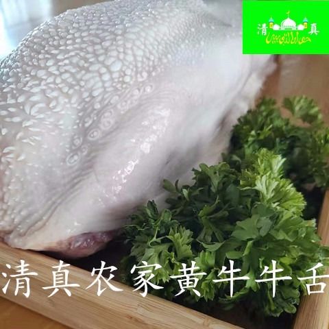 f7679af7-4cef-4701-a64e-d37c458af484.jpg
