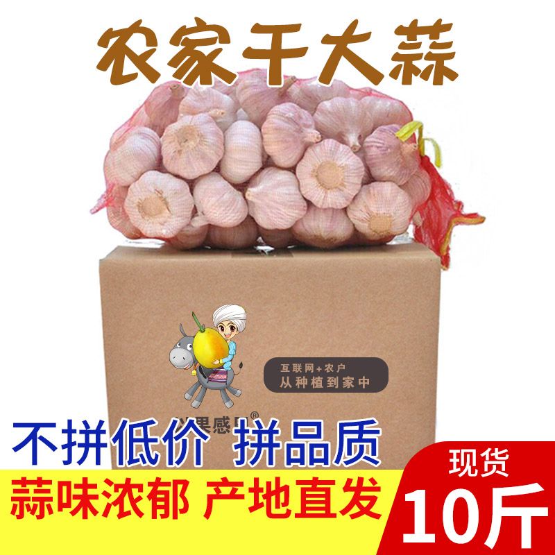 1887d2f5-2b72-4b13-b9ff-9c300f7b4623.jpg