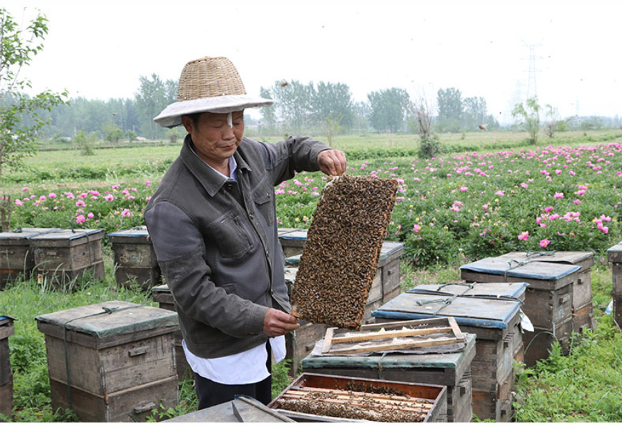 蜂蜜天然正品纯野生深山百花蜜农家自产自销自然成熟封盖土蜂蜜