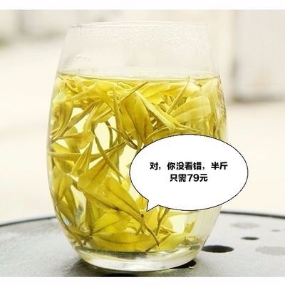 黄金芽