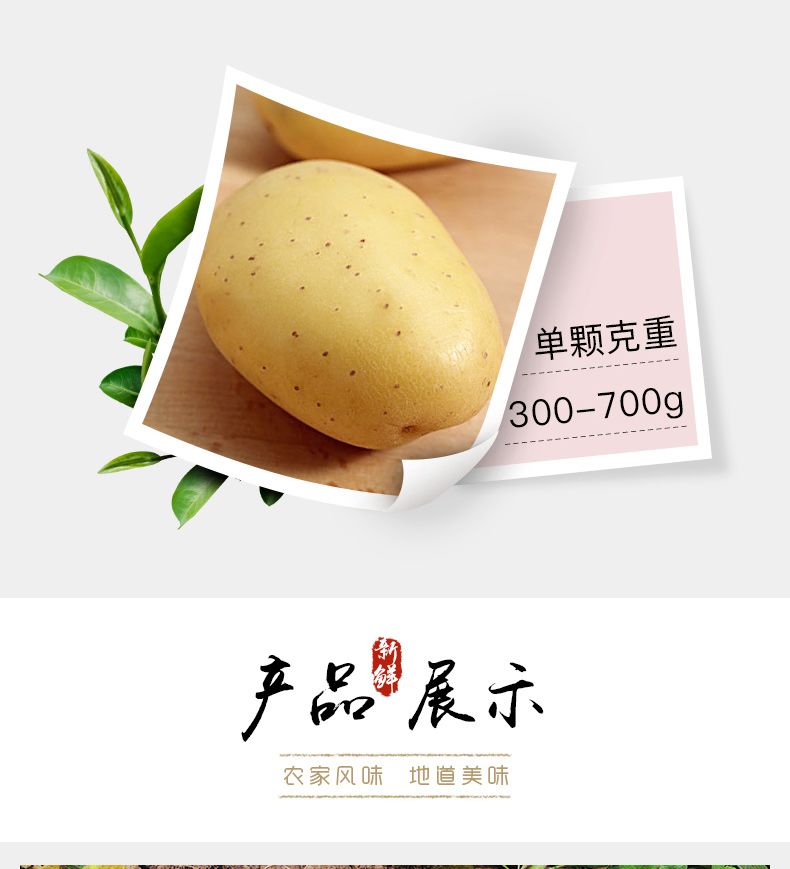 c5afbfe7-957a-4dbd-88c4-8a889011be69.jpg
